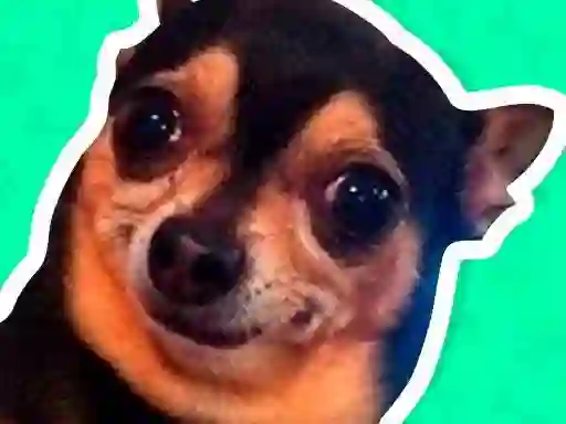 Hra What meme dog are you ? online