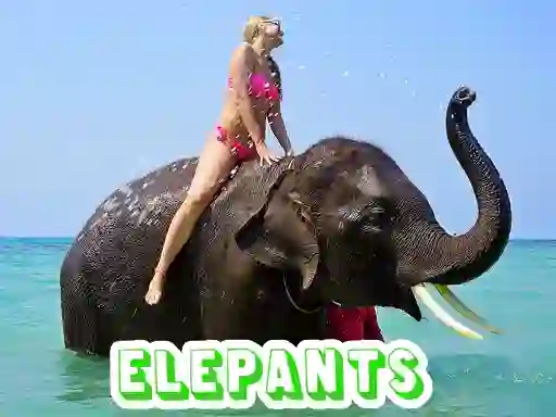 Hra Elephants Puzzle online
