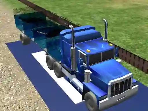 Hra Sea Animal Transport online