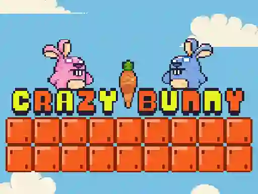 Hra Crazy Bunny online