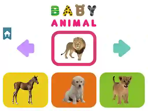 Hra Baby Animal online