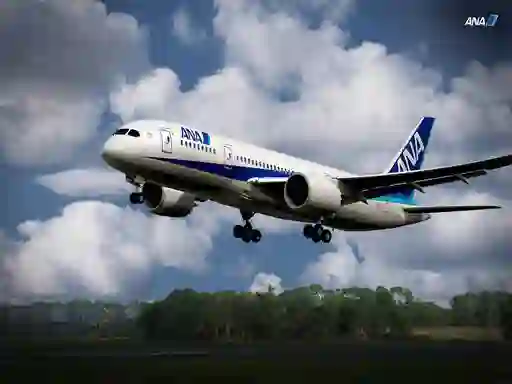 Hra Boeing Dreamliner Puzzle online