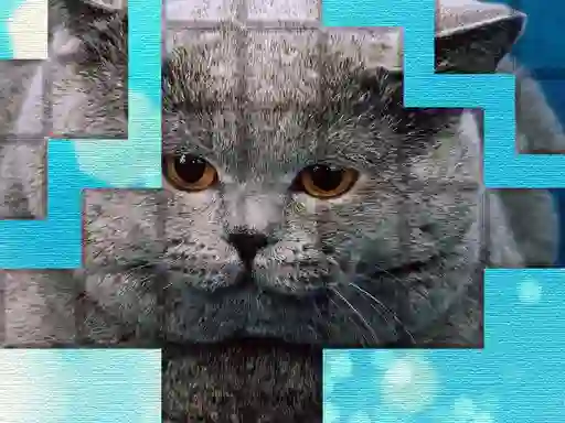 Hra PicPu Cat online