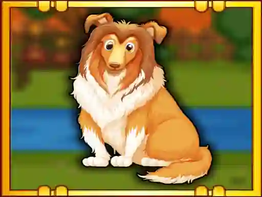 Hra Bernese Mountain Dog Escape online