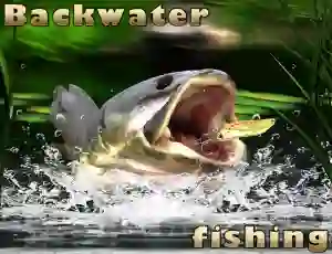 Hra Backwater Fishing online