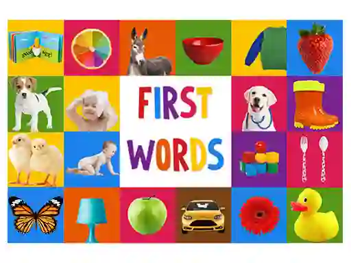 Hra First Words online