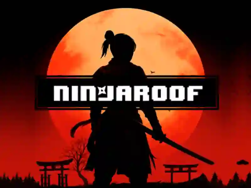 Hra Ninja Roof online