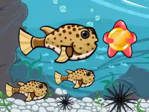 Hra Run Fish Run online