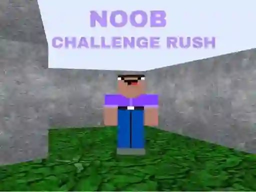 Hra Noob Challenge Rush online