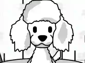 Hra Pampered Paws Doggy Day online