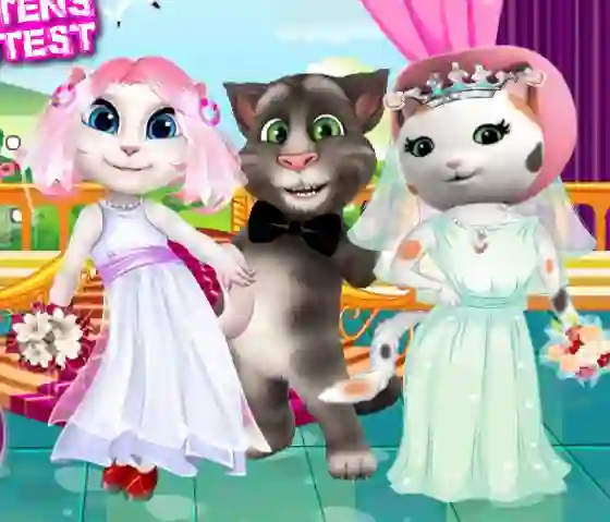 Hra White Kittens Bride Contest online