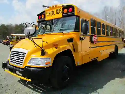 Hra School Buses Puzzle online
