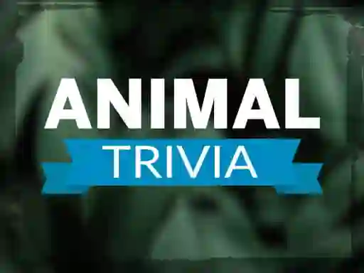Hra Animal Trivia online