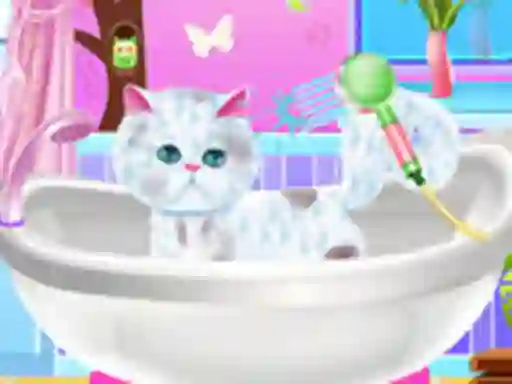 Hra Excellent Pet Groomer online
