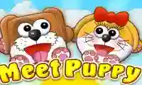 Hra Meet Puppy online