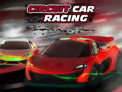Hra Circuit Car Racing online