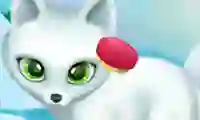 Hra Paws to Beauty Arctic Edition online