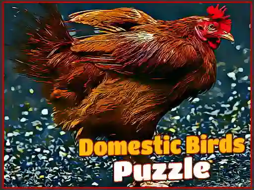 Hra Domestic Birds Puzzle online
