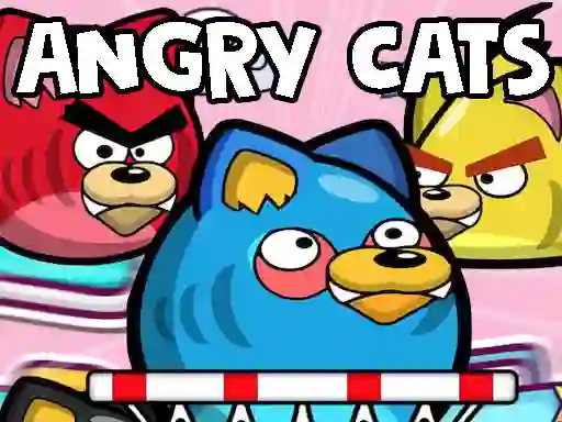 Hra Angry Cats online