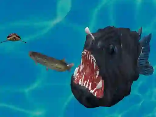 Hra Fish 3d online