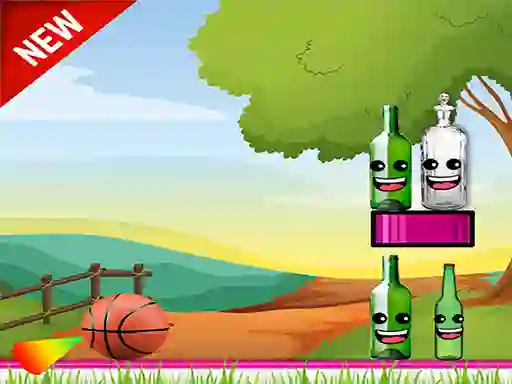 Hra Bottle Shooter online