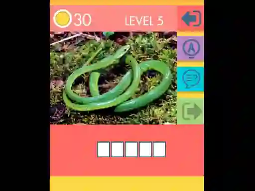 Hra 15 Picture Quiz online