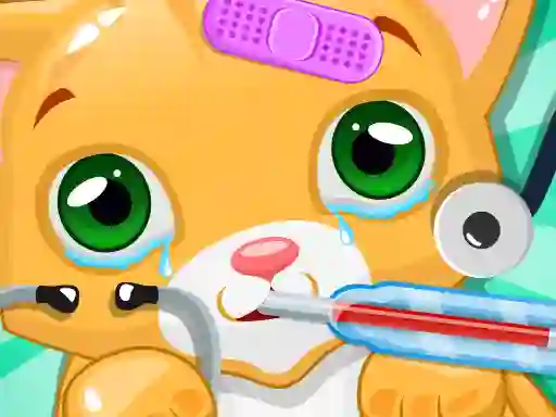 Hra Kitty Doctor online