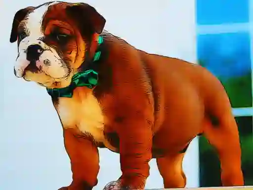 Hra Bulldog Puppy Puzzle online