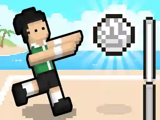 Hra Volley Random online