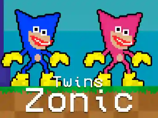 Hra Twins Zonic online
