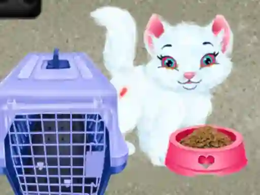 Hra Baby Taylor Pet Care online