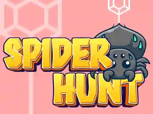 Hra Spider Hunt online