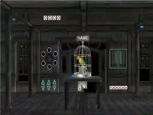 Hra Parrots Escape online