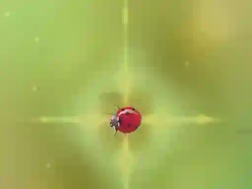 Hra Pest Control online