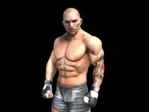 Hra Fight Arena Online online