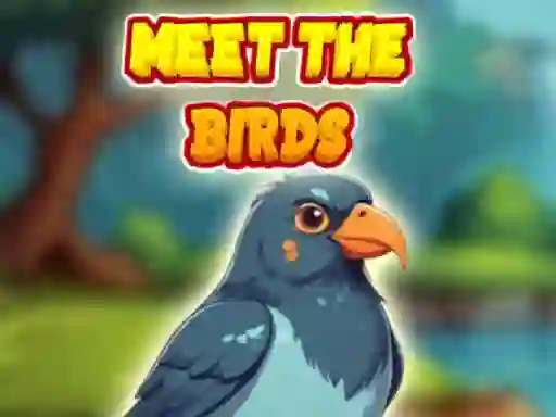 Hra Meet The Birds online