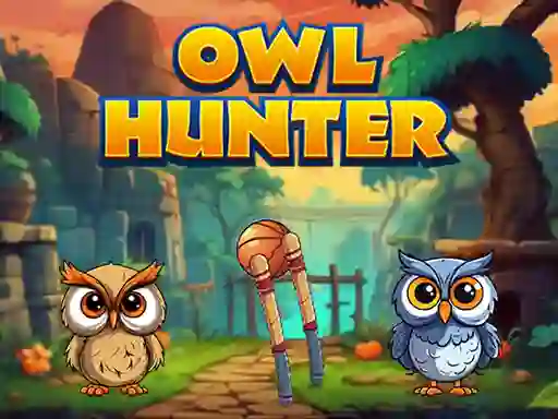 Hra Owl Hunter online