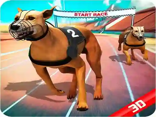 Hra Crazy Dog Race online