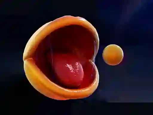 Hra Pac-Man online
