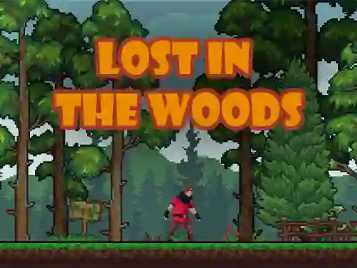 Hra Lost in the Woods online