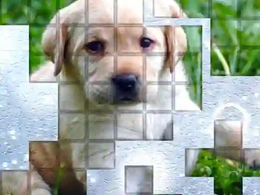 Hra PicPu Dog online