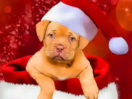 Hra Christmas Dogs Styles online