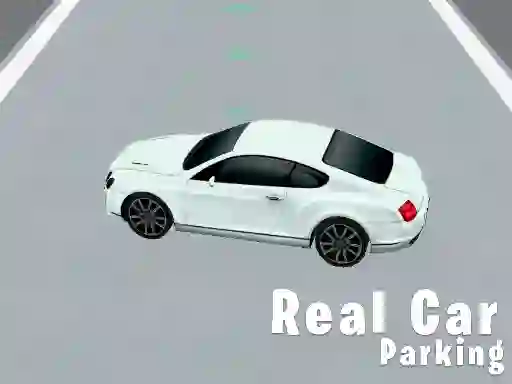 Hra Real Car Parking online