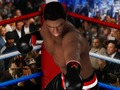 Hra Konečný Boxing  online