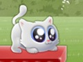 Hra Extrémnej Kitten  online