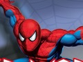Hra Spider bojovník  online