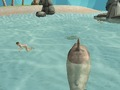 Hra Žralok Simulátor Beach Killer  online