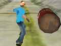 Hra Úžasný korčuliar 3D online