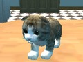 Hra Simulátor mačiek: Kitty Craft! online