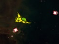 Hra Kontrola online